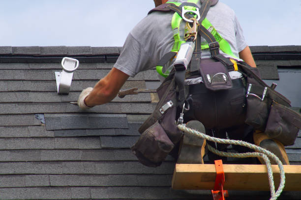 Best Roof Restoration Services  in Johnston City, IL