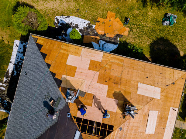 Best Roof Inspection Near Me  in Johnston City, IL