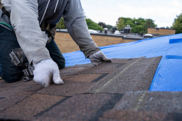 Best Commercial Roofing Services  in Johnston City, IL