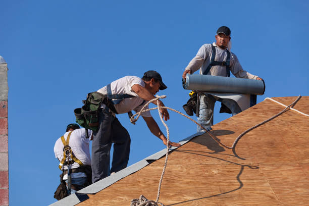 Best Metal Roofing Contractor  in Johnston City, IL