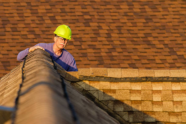 Best Roof Gutter Cleaning  in Johnston City, IL