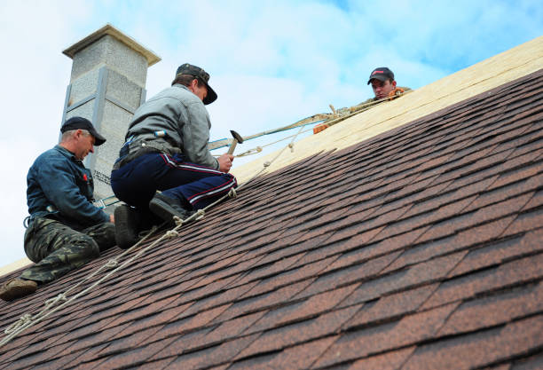 Best Affordable Roofing Company  in Johnston City, IL